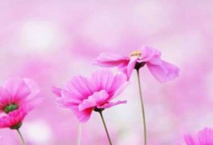 患有手足癬要怎樣避免?