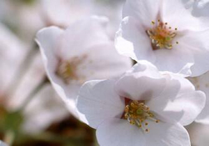 反復爆痘?可能是以下原因