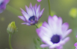 注意牛皮癬“叫癬不是癬”