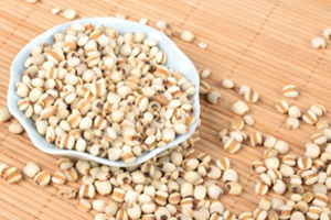 脫發(fā)疾病要如何預(yù)防