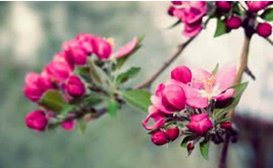 冬季如何預防牛皮癬